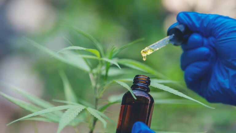 שמן CBD